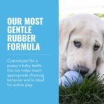 KONG Puppy, Natural Rubber Teething Chew Toy, for Small Puppies, Blue - Image 3