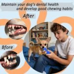 20 Pack Luxury Puppy Teething Chew Toys for Small Dogs and Puppies - Image 4