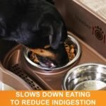 Neater Pet Brands Stainless Steel Slow Feed Dog Bowl for Fast Eating Large Breed, Metal Slow Feeder Dog Bowl Fits in Large Neater Feeders, for Puppy or Dogs (>40 lbs), 3 Cup Food Capacity - Image 4