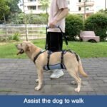 Coodeo Dog Lift Harness, Full Body Support & Recovery Sling, Pet Rehabilitation Lifts Vest for Old Dog with Arthritis Walk(Bule,L) - Image 3