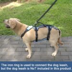Coodeo Dog Lift Harness, Full Body Support & Recovery Sling, Pet Rehabilitation Lifts Vest for Old Dog with Arthritis Walk(Bule,L) - Image 4