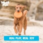 WEST PAW Zisc High-Flying Disc Dog Toy - Granny Smith Green - Image 10