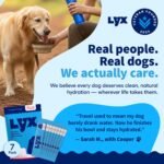 LYX Hydration Dog Electrolytes Water Enhancer, Beef, 7-Count - Image 6