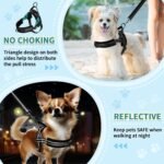 SlowTon No Pull Small Dog Harness and Leash Set with Front Clip - Image 3