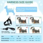 SlowTon No Pull Small Dog Harness and Leash Set with Front Clip - Image 5