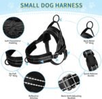 SlowTon No Pull Small Dog Harness and Leash Set with Front Clip - Image 7