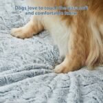 WNPETHOME XXL Extra Large Orthopedic for Senior Dog BedComfy Sleeping - Image 8