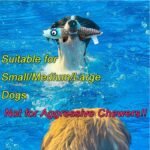 4 Pack Squeaky Dog Water Toys, Floating Dog Pool Toys, Cute Dogs Summer Accessories for Small Medium Large Dogs - Image 5