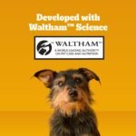 Pedigree Dentastix Small & Medium Dental Dog Treats, Original, 108 Count - Image 6
