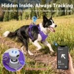 Joytale No Pull Light Up Dog Harness, Night Walks, AirTag Holder, Purple M - Image 3