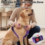 Joytale No Pull Light Up Dog Harness, Night Walks, AirTag Holder, Purple M - Image 4