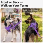 Joytale No Pull Light Up Dog Harness, Night Walks, AirTag Holder, Purple M - Image 5