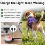 Joytale No Pull Light Up Dog Harness, Night Walks, AirTag Holder, Purple M - Image 7