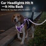 Joytale No Pull Light Up Dog Harness, Night Walks, AirTag Holder, Purple M - Image 8