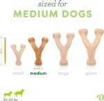Benebone Wishbone Dog Chew Toy for Aggressive Chewers, Real Chicken, Medium - Image 4