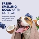 Arm & Hammer Odor Control Dog Shampoo, Blueberry Coconut, 32 Fl Oz - Image 3