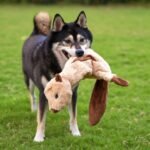 Best Pet Supplies 2-in-1 Stuffless Squeaky Dog Toy - 4 Figures, Small - Image 9