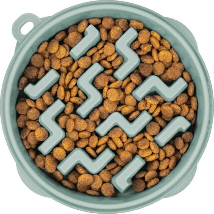 Outward Hound Fun Feeder Slo Bowl Dog Slow Feeder, Notch, Sage, 9.1″