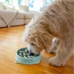 Outward Hound Fun Feeder Slo Bowl Dog Slow Feeder, Notch, Sage, 9.1" - Image 6