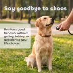 Dog Training Clicker - Essential Clickers for Obedience Training, Positive Reinforcement for Puppies and Adult Dogs - For Owners and Professional Trainers - Safe for Pets - Two Pack - Image 3