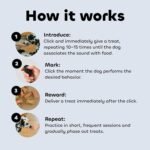 Dog Training Clicker - Essential Clickers for Obedience Training, Positive Reinforcement for Puppies and Adult Dogs - For Owners and Professional Trainers - Safe for Pets - Two Pack - Image 4