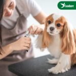 Candure Pet Nail Clippers, Green, Medium to Small Pets - Image 3