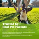 Flea & Tick Prevention for Dogs Chewables,Oral Flea Pills, Dogs Supplement - Image 4