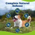 Flea & Tick Prevention for Dogs Chewables,Oral Flea Pills, Dogs Supplement - Image 6