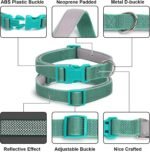 Orange Reflective Dog Collars, Highly Reflect Safety Neoprene Padded Basic Cat Collar Durable Soft Nylon Hunting Puppy Collar Adjustable for Xs Small Medium Large Boy Girl Pet Dogs, XSmall - Image 3