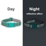Orange Reflective Dog Collars, Highly Reflect Safety Neoprene Padded Basic Cat Collar Durable Soft Nylon Hunting Puppy Collar Adjustable for Xs Small Medium Large Boy Girl Pet Dogs, XSmall - Image 4