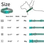 Orange Reflective Dog Collars, Highly Reflect Safety Neoprene Padded Basic Cat Collar Durable Soft Nylon Hunting Puppy Collar Adjustable for Xs Small Medium Large Boy Girl Pet Dogs, XSmall - Image 5