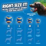 Chuckit! Ultra Squeaker Dog Balls, Floating, Medium 2.5-in, 2-Pack - Image 5