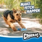 Chuckit! Ultra Squeaker Dog Balls, Floating, Medium 2.5-in, 2-Pack - Image 7