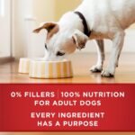 Purina ONE Chicken & Brown Rice Wet Dog Food Classic Ground (12) 13 oz Cans - Image 7
