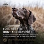 Diamond Performance Puppy, Adult & Senior Dry Dog Food, Chicken, 40lb - Image 6