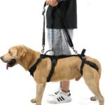 COODEO Mobility Dog Lift Harness, Support Sling & Walking Sling for Dogs, Pet Rear Leg Rehabilitation Support Vest, Dog Carrier for Senior Dogs with Joint Injuries, Arthritis, Up Stair (Black, XL)
