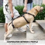 COODEO Mobility Dog Lift Harness, Support Sling & Walking Sling for Dogs, Pet Rear Leg Rehabilitation Support Vest, Dog Carrier for Senior Dogs with Joint Injuries, Arthritis, Up Stair (Black, XL) - Image 3