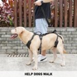 COODEO Mobility Dog Lift Harness, Support Sling & Walking Sling for Dogs, Pet Rear Leg Rehabilitation Support Vest, Dog Carrier for Senior Dogs with Joint Injuries, Arthritis, Up Stair (Black, XL) - Image 4