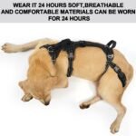 COODEO Mobility Dog Lift Harness, Support Sling & Walking Sling for Dogs, Pet Rear Leg Rehabilitation Support Vest, Dog Carrier for Senior Dogs with Joint Injuries, Arthritis, Up Stair (Black, XL) - Image 6