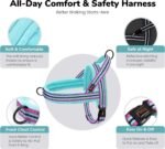 Didog No Pull Dog Harness for Small Dogs, Soft Flannel Padded,Mixed-Blue,XS - Image 5