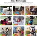 Didog No Pull Dog Harness for Small Dogs, Soft Flannel Padded,Mixed-Blue,XS - Image 6
