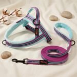 Didog No Pull Dog Harness for Small Dogs, Soft Flannel Padded,Mixed-Blue,XS - Image 8