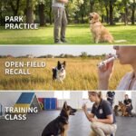 2Pcs Silver Adjustable Ultrasonic Dog Whistle, Portable Whistle Pet Whistle Supersonic Whistle Dog Whistles for Pet Training, Training and Behavior Aids, Dog Whistle Training - Image 8