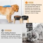 SPUNKYJUNKY Ceramic Elevated Dog Bowls 2 Pack - 8.3inch Raised Dog Bowls with Non-Slip Wooden Stand for Large Dogs Dishwasher Safe(Black,60OZ*2) - Image 3