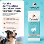 Petralyte Dog Electrolytes and Joint Supplement | Hydration Support for Dogs w/Glucosamine, Chondroitin & More | Electrolytes for Dogs with Prebiotics | for Beef Lovers | 16 Packets - Image 3