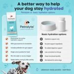 Petralyte Dog Electrolytes and Joint Supplement | Hydration Support for Dogs w/Glucosamine, Chondroitin & More | Electrolytes for Dogs with Prebiotics | for Beef Lovers | 16 Packets - Image 4