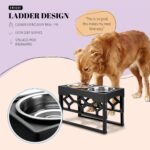 AVERYDAY Elevated Dog Bowls, 4 Height Adjustable Stand for Medium and Large Dogs, Raised Dog Feeder Holder with 2 Stainless Steel Food and Water Bowls, Anti-Slip Base Tall Feeding Station - Image 8