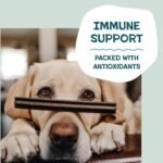 Shameless Pets Blueberry & Mint Dental Chews for Dogs, 32 Chews - Image 5