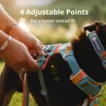 Ruffwear, Front Range Dog Chest Harness, Basalt Gray, Medium - Image 7
