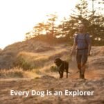Ruffwear, Front Range Dog Chest Harness, Basalt Gray, Medium - Image 9
